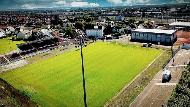 強國手們的 強國手們的