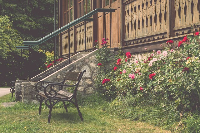 了发展的新 了发展的新